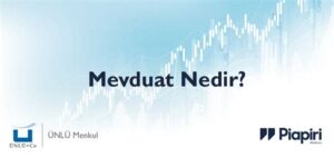 Mevduat Hesabı Nedir? Faydaları ve Türleri